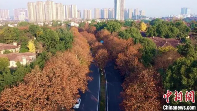 QQ截图20221223091139.png